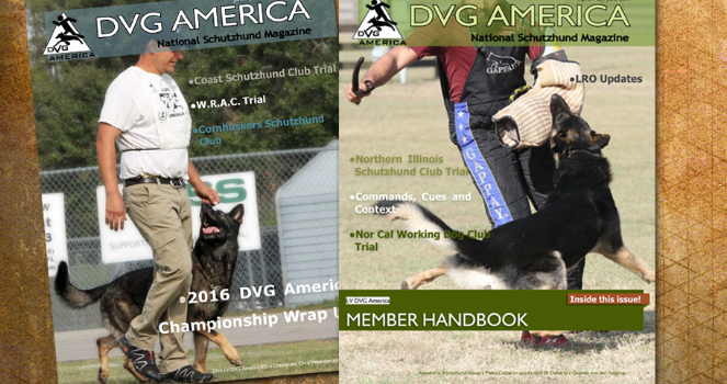 DVG America magazine | LV DVG America